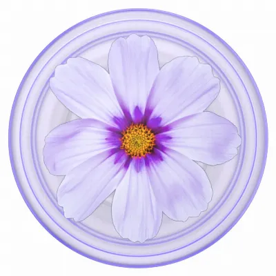Image of article C71470