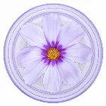 Image of article C71470