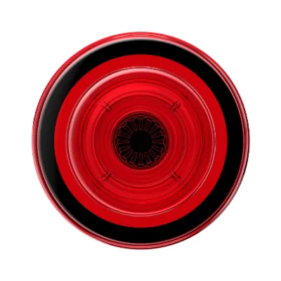 Image of article C38396