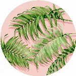 Image of article C00691