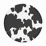 Image of article 38-92116