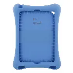 Image of article C17603